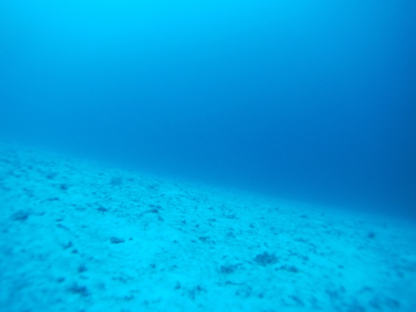 水深７５，６メートルの世界