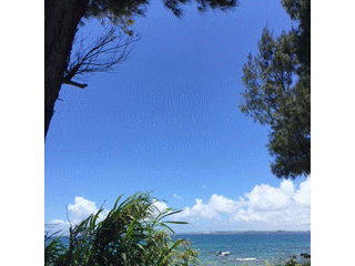 沖縄北部のきれいな海と空