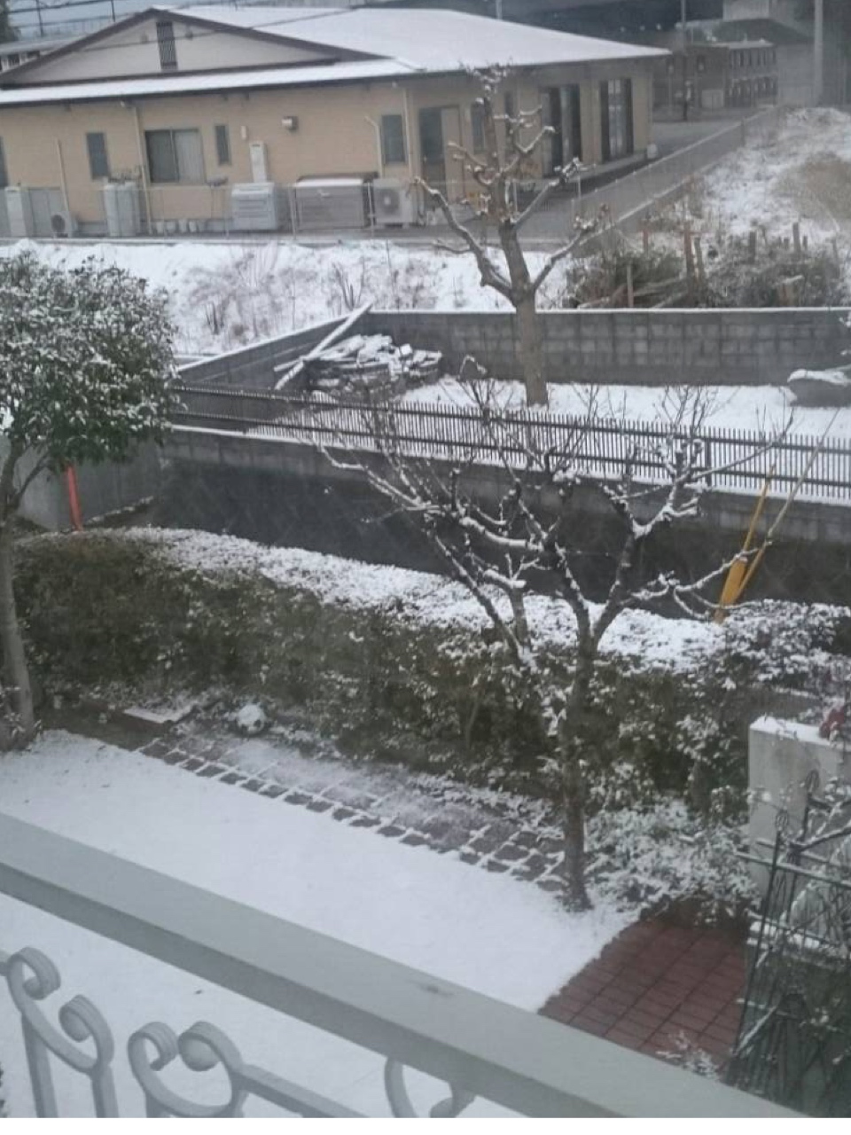 九州の大雪